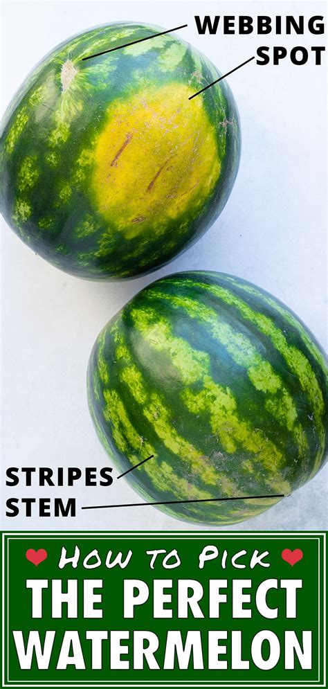 In short, it states that a perfectly ripe watermelon should have green stripes that are around the width of two fingers. Color me surprised, because these ...